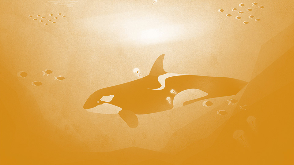 Image du projet 1
